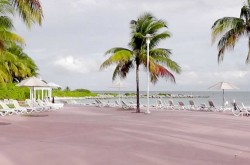 One Day Cruise to Grand Bahama Island, Bahamas
